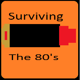 play Surviving The 80'S