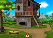 play Forest Farm House Escape