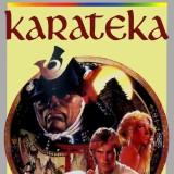 play Karateka