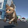 Kitty Cat Rush 3D