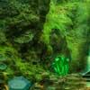 play Wowescape Emerald Forest Escape