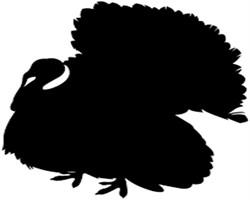 play Flappyturkey