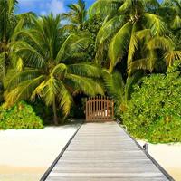 play Tropical Paradise Escape