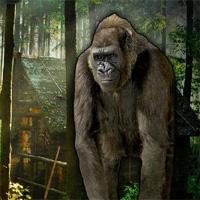play Baby-Chimp-Rescue-Freeroomescape