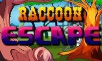 play Nsr Raccoon Escape