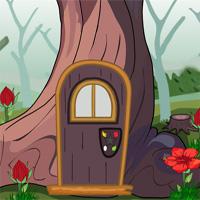 play Raccoon Escape Nsrgames