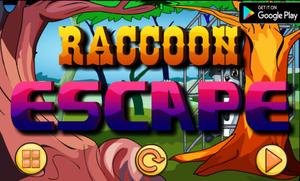 play Raccoon Escape