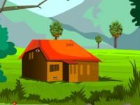 play Monkey Escape From Forest