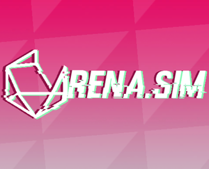 play Arena.Sim