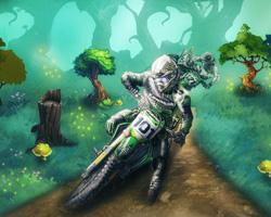 play Motocross Forest Challenge 2
