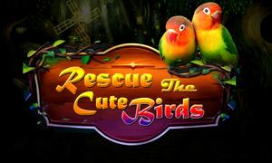 play Rescue The Bird