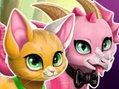 play Magical Pet Maker