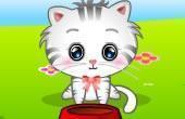 play My Pet