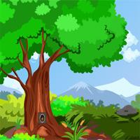 play Tortoise Forest Escape Gameszone15