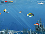 play Hungry Piranha Game