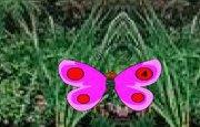 play Ebrah Forest Garden Escape