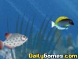 play Hungry Piranha