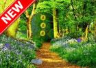 play Escape Easy Forest