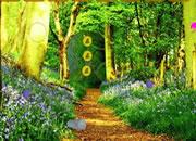 play Easy Forest Escape