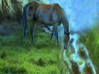 play Mountain Horse Escape