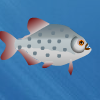 play Hungry Piranha