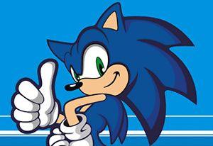 Sonic The Hedgehog: Sage 2010