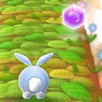 Bunny Run