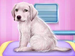 play Labrador At The Doctor Salon