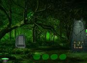 Toxic Fantasy Forest Escape