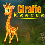 play Giraffe Rescue Escape