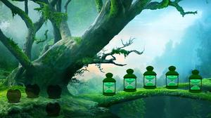 play Escape From Wizard