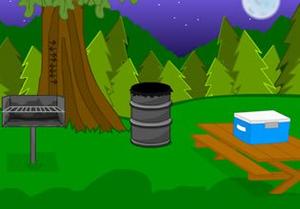 play Dark Park