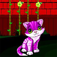 play Red Wall Cat Escape