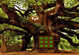 play Oak Tree Forest Escape