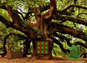 play Oak Tree Forest Escape