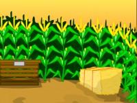Escape Corn Maze