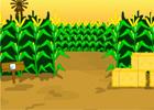 play Escape Corn Maze