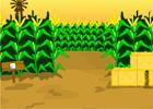 play Escape Corn Maze