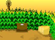 play Escape Corn Maze