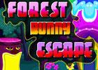 Forest Bunny Escape