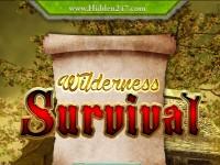 play Wilderness Survival
