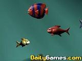 play The Big Fish
