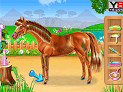 play Horse Care And Riding Game