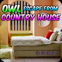 Owl Escape From Country House