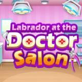 play Labrador At The Doctor Salon