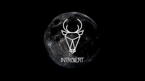 play Introvert