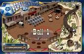 play Western Pepsi Pinball