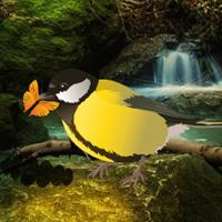 play Amazon Birds Forest Escape