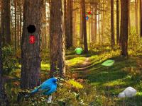 play Amazon Birds Forest Escape