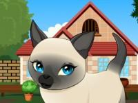 play Tonkinese Cat Rescue Escape